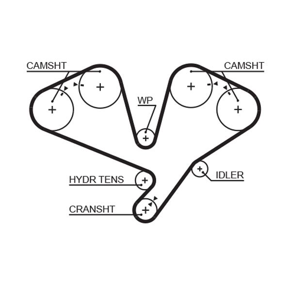 Timing Belt Hyundai