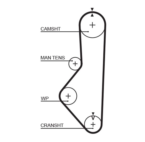Timing Belt Mazda 626 GC 1.6