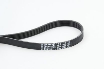 V-Ribbed Belt VAG - 03G 903 137E V-Ribbed Belt VAG - 03G 903 137E