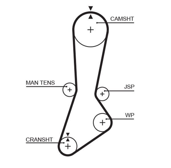 Timing Belt Mazda