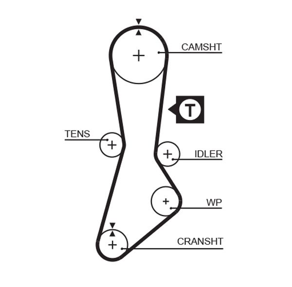 Timing Belt MAZDA - F202-12-205