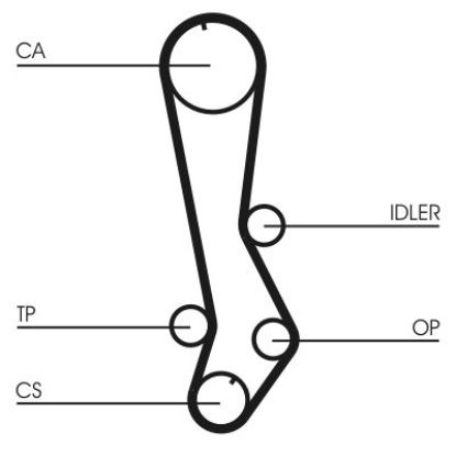 Timing Belt LEXUS IS I (GXE10)