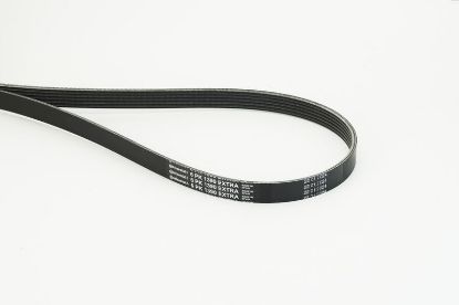 V-Ribbed Belt -