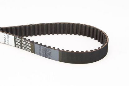 Timing Belt Mazda, Kia