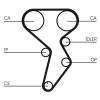 Timing Belt Kit STILO (192), DOBLO (119)