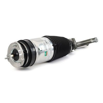 Air Suspension Strut Tesla 102736125E