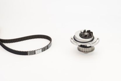 Water Pump & Timing Belt Kit CT 732 WP1