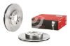 Brake Disc Laguna, Megane