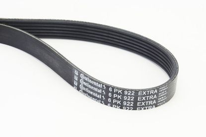 V-Ribbed Belt VAG - 059 903 137 CA V-Ribbed Belt VAG - 059 903 137 CA