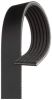 V-Ribbed Belt PSA - 5750.PG, VOLVO - 30777660