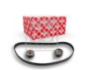 Timing Belt Kit Opel PKW 1606 360 SK
