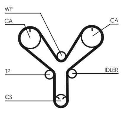 Timing Belt LEXUS, TOYOTA