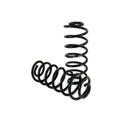 Suspension Set, springs 02-09 Bravada/Envoy/Rainier/Trailblazer/Saab