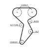 Timing Belt Kit MAREA (185), STILO (192)