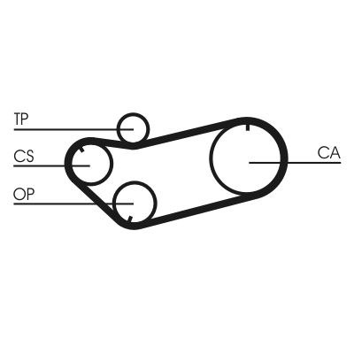 Timing Belt Citroen