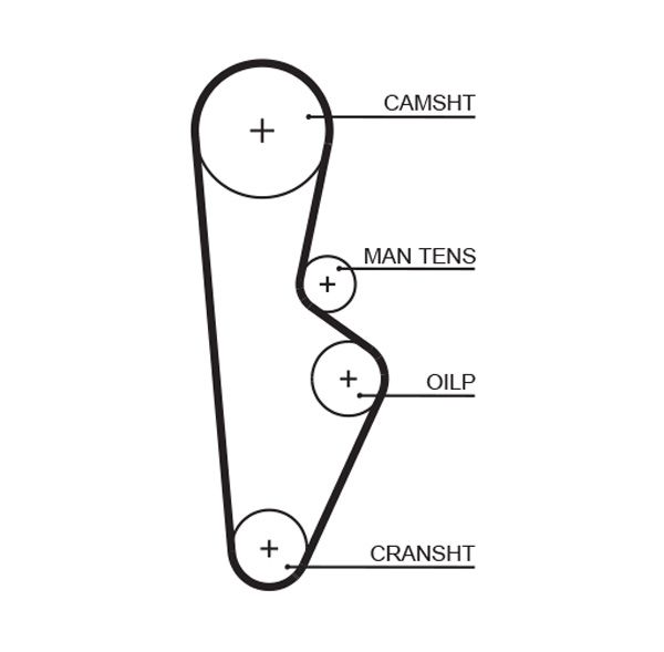 Timing Belt Honda Accord - ( L14908 )