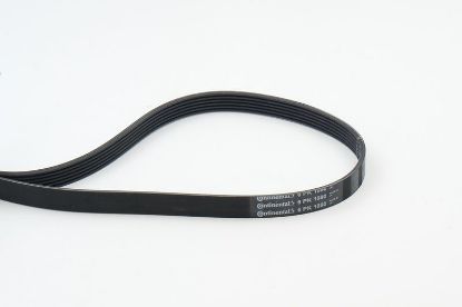 V-Ribbed Belt VAG - 03L 903 137D V-Ribbed Belt VAG - 03L 903 137D