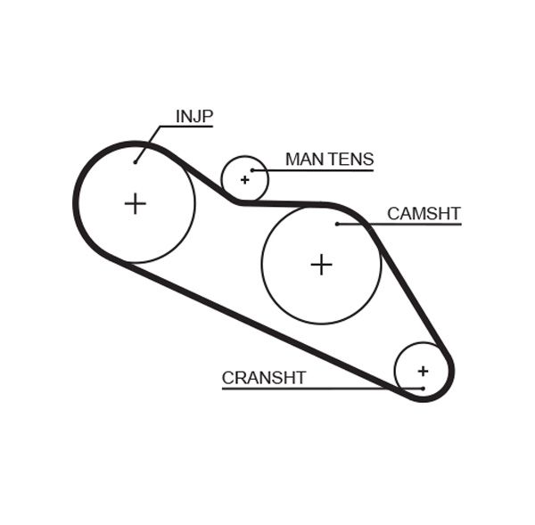 Timing Belt Isuzu Trooper- ( L18565 ) - (
