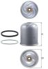 Oil Filter Renault