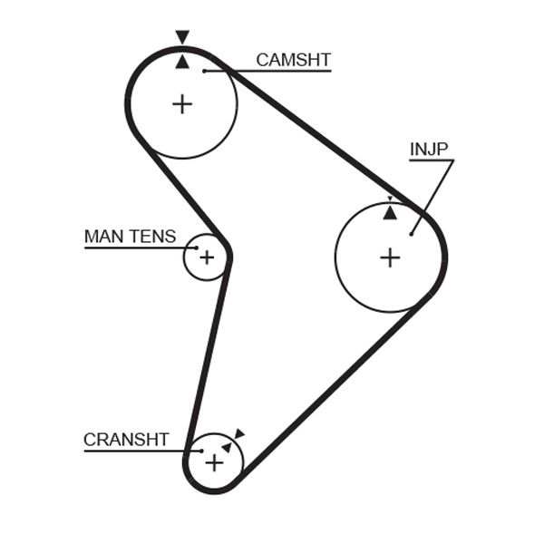 Timing Belt Mazda 323 BG 1.7 D