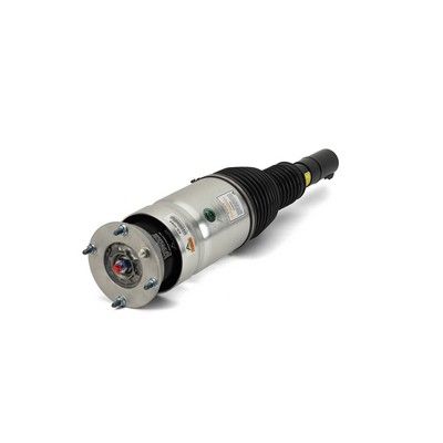 Air Suspension Strut Land Rover Range Rover Sport (L494) 14-17