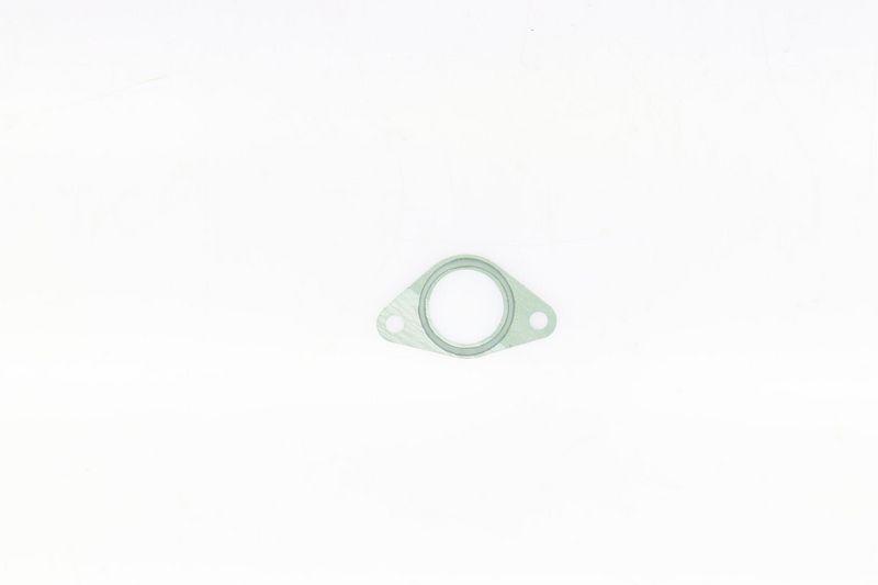 Gasket, intake manifold BMW