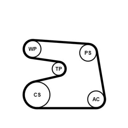 Water Pump + V-Ribbed Belt Kit -