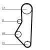 Timing Belt Mazda