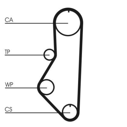 Timing Belt Mazda