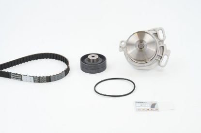 Water Pump & Timing Belt Kit CT 660 WP1