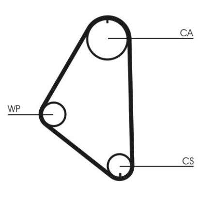 Water Pump & Timing Belt Kit CT 558 WP1
