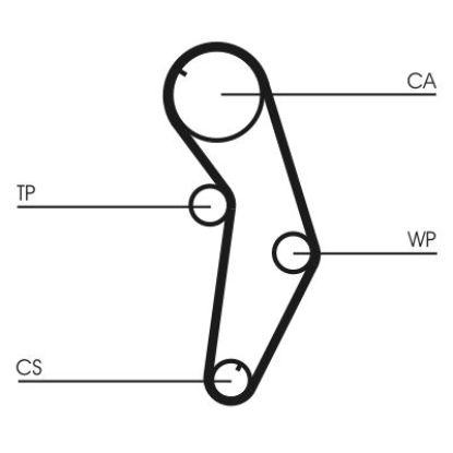 Timing Belt Mitsubishi