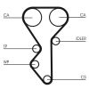 Timing Belt VAG 1,4/1,6FSI