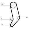 Water Pump & Timing Belt Kit CT 939 WP1