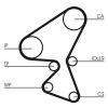 Timing Belt Kit CITROEN, MAZDA, PEUGEOT ......