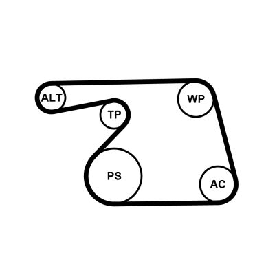 Water Pump + V-Ribbed Belt Kit -