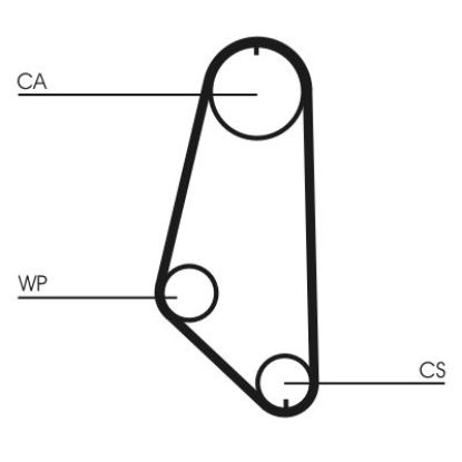 Water Pump & Timing Belt Kit CT 720 WP1