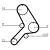 Timing Belt ISUZU