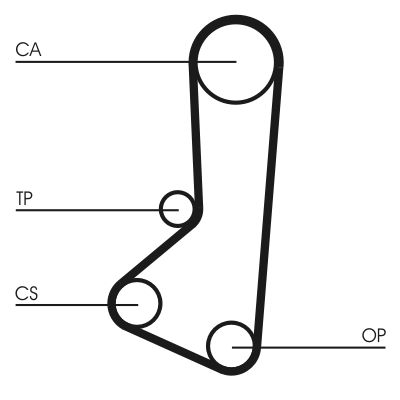 Timing Belt Hyundai