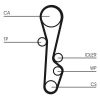 Timing Belt Mazda