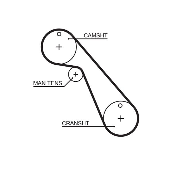 Timing Belt Lancia Thema - ( L18566 )