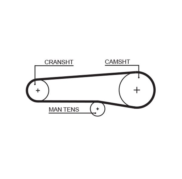 Timing Belt Lancia Camma