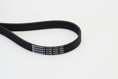 V-Ribbed Belt VAG - 036 145 933Q V-Ribbed Belt VAG - 036 145 933Q