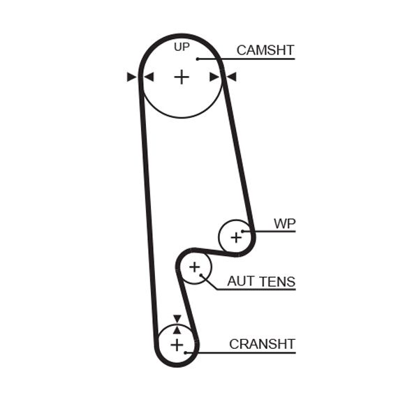 Timing Belt Honda Accord - ( L18651 )
