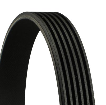 V-Ribbed Belt -