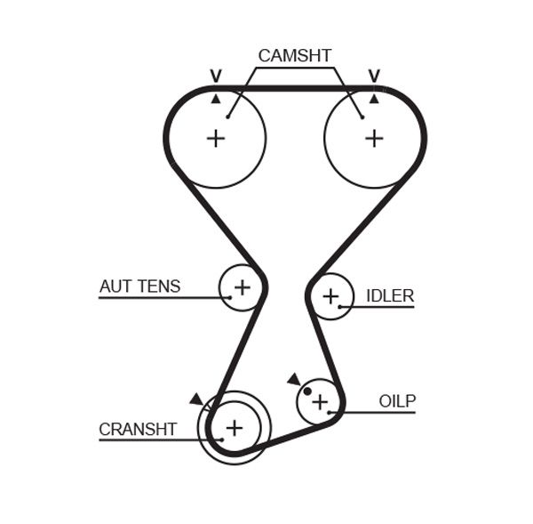 Timing Belt KIA - 24312-38220 Timing Belt KIA - 24312-38220