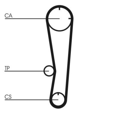 Timing Belt Mazda