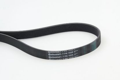 V-Ribbed Belt BMW 7 (E38), CLIO IV V-Ribbed Belt BMW 7 (E38), CLIO IV
