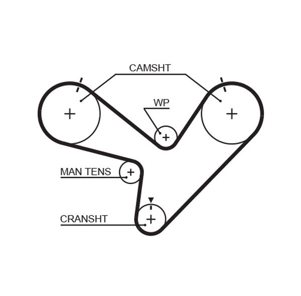 Timing Belt Honda Legend 3.2 24V - ( L2256