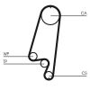 Timing Belt CT866